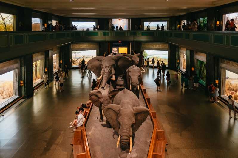 Museums in New York for Kids- Museum of Natural History Manhattan