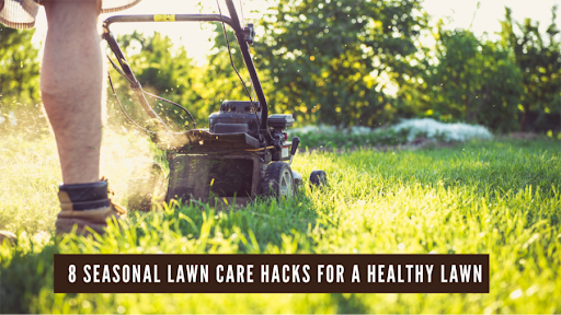 Lawn Care Hacks